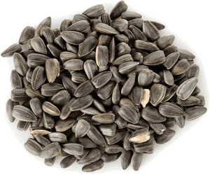 Download Sunflower Seeds Png Hd - Sunflower Seeds Png, Transparent Png PNG
