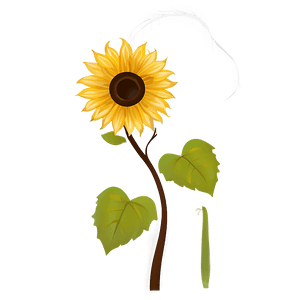 Sunflower Silhouette Transparent PNG ffs40 PNG
