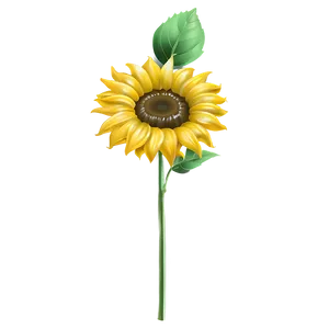 Sunflower Stem Png 75 PNG Image