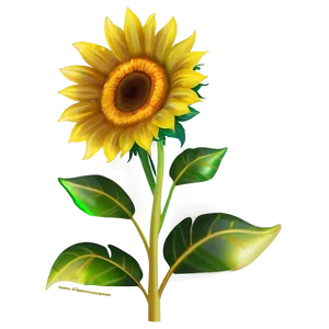 Sunflower Transparent Icon Png Uqa70 PNG Image