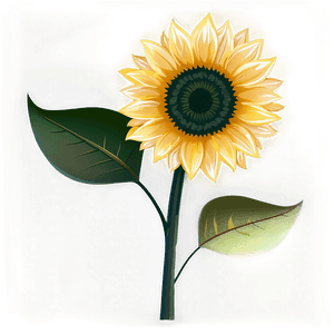 Sunflower Vector Transparent PNG 3 PNG