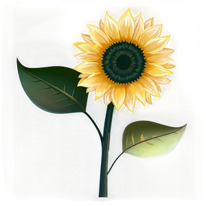 Sunflower Vector Transparent Png 3 PNG Image