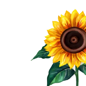 Sunflower Watercolor A PNG Image