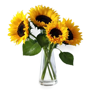 Sunflowers In Vase Png 7 PNG Image