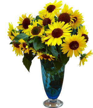 Flower Vase With Flowers Photography Png- - Flower Vase Hd Png, Transparent Png PNG with transparent background