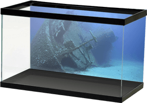 Specialty Shipwreck - Aquarium Frosted Background, HD Png Download PNG image with transparent background
