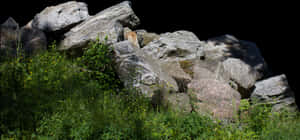 Sunlit Boulder Pile Nature Scene PNG with transparent background