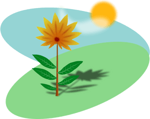 Sunlit Flower Illustration PNG image with transparent background