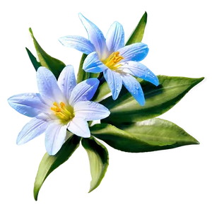 Sunlit Spring Flower Png Qjr PNG Image