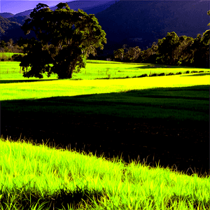 Sunny Countryside View PNG ito81 PNG