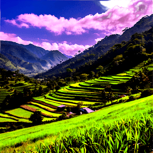 Sunny Countryside View PNG typ59 PNG