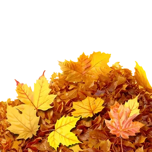 Sunny Day Leaf Pile Png Ovi PNG Image