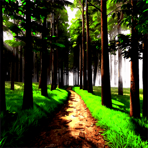 Sunny Forest Pathway PNG 33 PNG