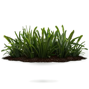 Sunny Grass Patch Png Ars PNG Image