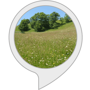 Meadow PNG Picture PNG image with transparent background