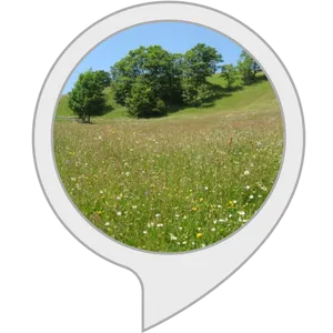 Sunny Meadow Speech Bubble PNG Image