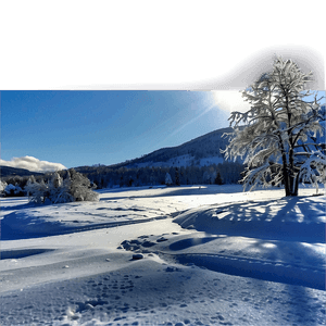 Sunny Winter Landscape PNG ljf PNG