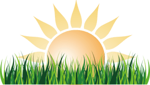 Sunrise Over Green Field PNG image with transparent background