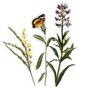 Sunset Over Wildflowers PNG 89 PNG with transparent background