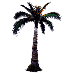 Sunset Palm Tree PNG 94 PNG image with transparent background