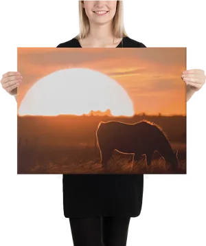 Sunset Silhouette Artwork PNG Image