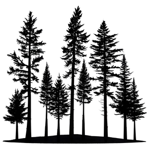 Surreal Black Trees Png Jcp53 PNG Image