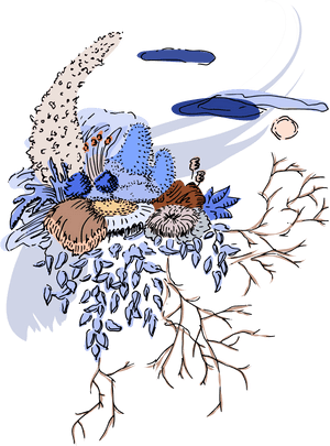 Tropical White Morning-glory , Png Download - Illustration, Transparent Png PNG image with transparent background