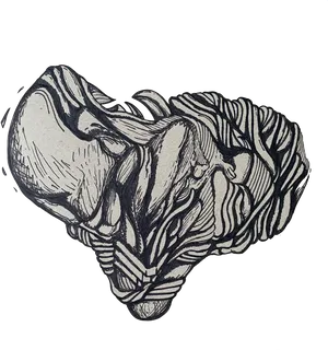 Surreal_ Zebra_ Heart_ Illusion PNG Image