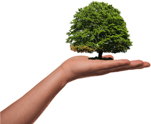 Hentikan Kriminalisasi Pejuang Lingkungan - World Environment Day 5th June 2019, HD Png Download PNG image with transparent background