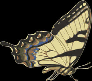 Swallowtail Butterfly Illustration PNG image with transparent background