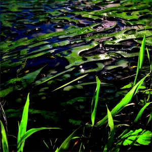 Swamp Water Texture Png 53 PNG Image