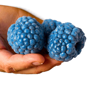 Sweet Blue Raspberry Bliss PNG 06212024 PNG