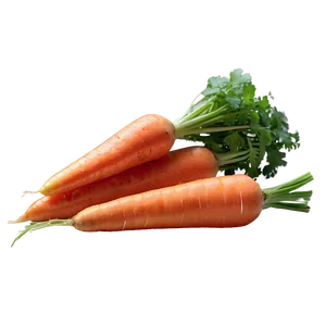 Sweet Carrot Png Rnu77 PNG Image