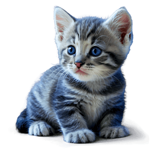 Sweet Kitten PNG 05232024 PNG image with transparent background