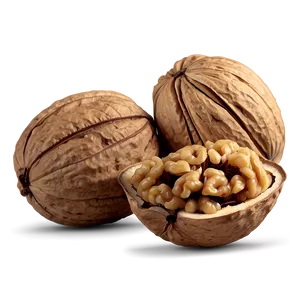 Sweet Walnut Png 96 PNG Image