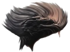 Swept Back Hair Overlay PNG Image