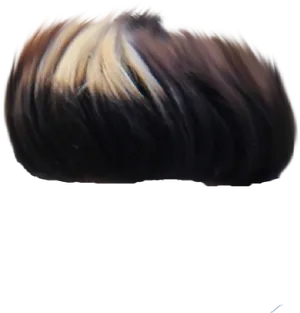 Swept Back Hair Texture PNG Image