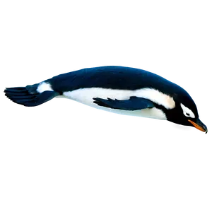 Swimming Penguins Png 06112024 PNG Image