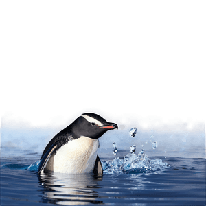 Swimming Penguins PNG 69 PNG with transparent background