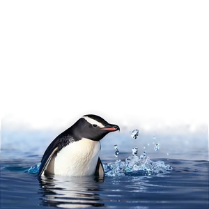 Swimming Penguins Png 69 PNG Image