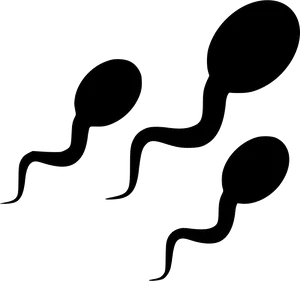 Swimming_ Sperm_ Illustration.png PNG Image