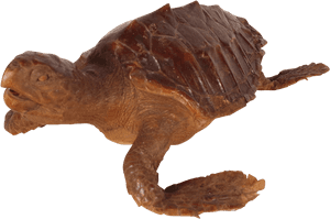 Swimming_ Turtle_ Transparent_ Background.png PNG image with transparent background