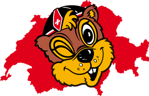 Transparent Swiss Alps Clipart - Switzerland Flag Map Png, Png Download PNG image with transparent background