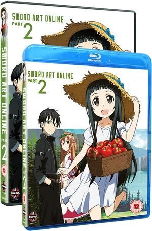 Sword Art Online Part2 Bluray Cover PNG Image