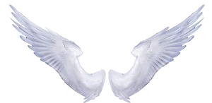 Symmetrical Angel Wingson Black Background PNG Image