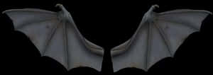 Symmetrical Bat Wings Spread PNG image with transparent background