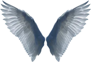 Symmetrical Bird Wings Spread PNG Image