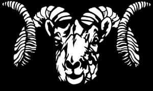 Symmetrical Ram Illustration PNG image with transparent background