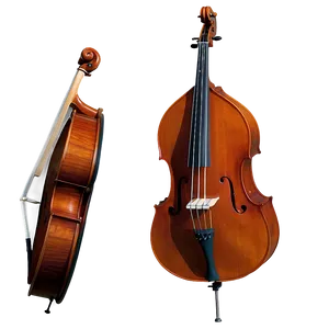 Symphony Orchestra Double Bass Png Auy21 PNG Image