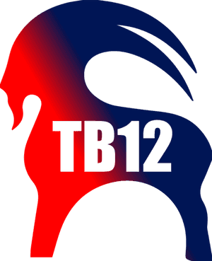 Patriots Super Bowl Sticker Champions Champs New England - Imagens De Feliz 2012, HD Png Download PNG image with transparent background